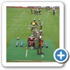 Landesbewerb 2009, Ried