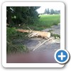 20140526_182654